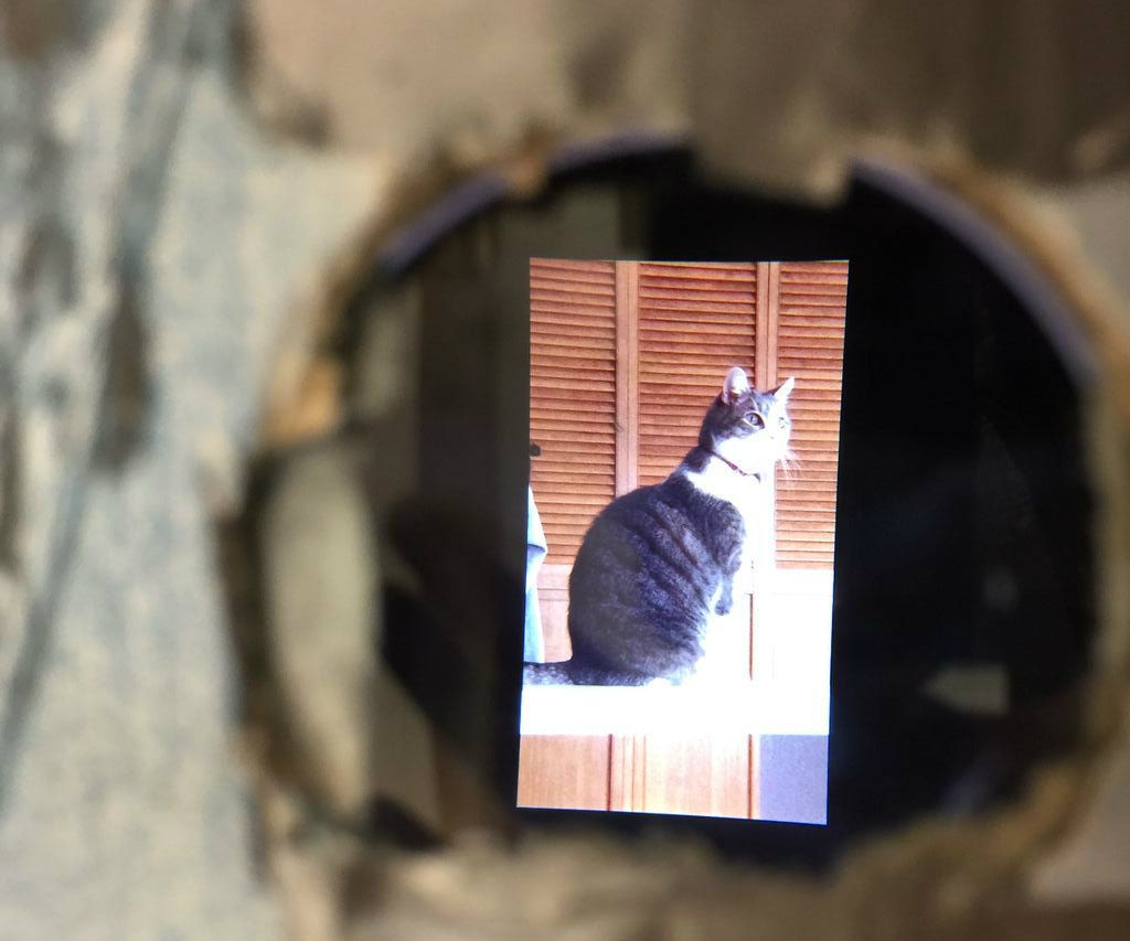 DIY Smartphone Projector