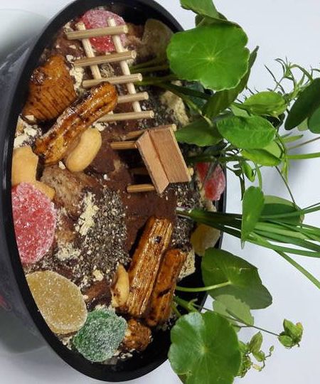 Miniature Garden Ice-Cream Cake