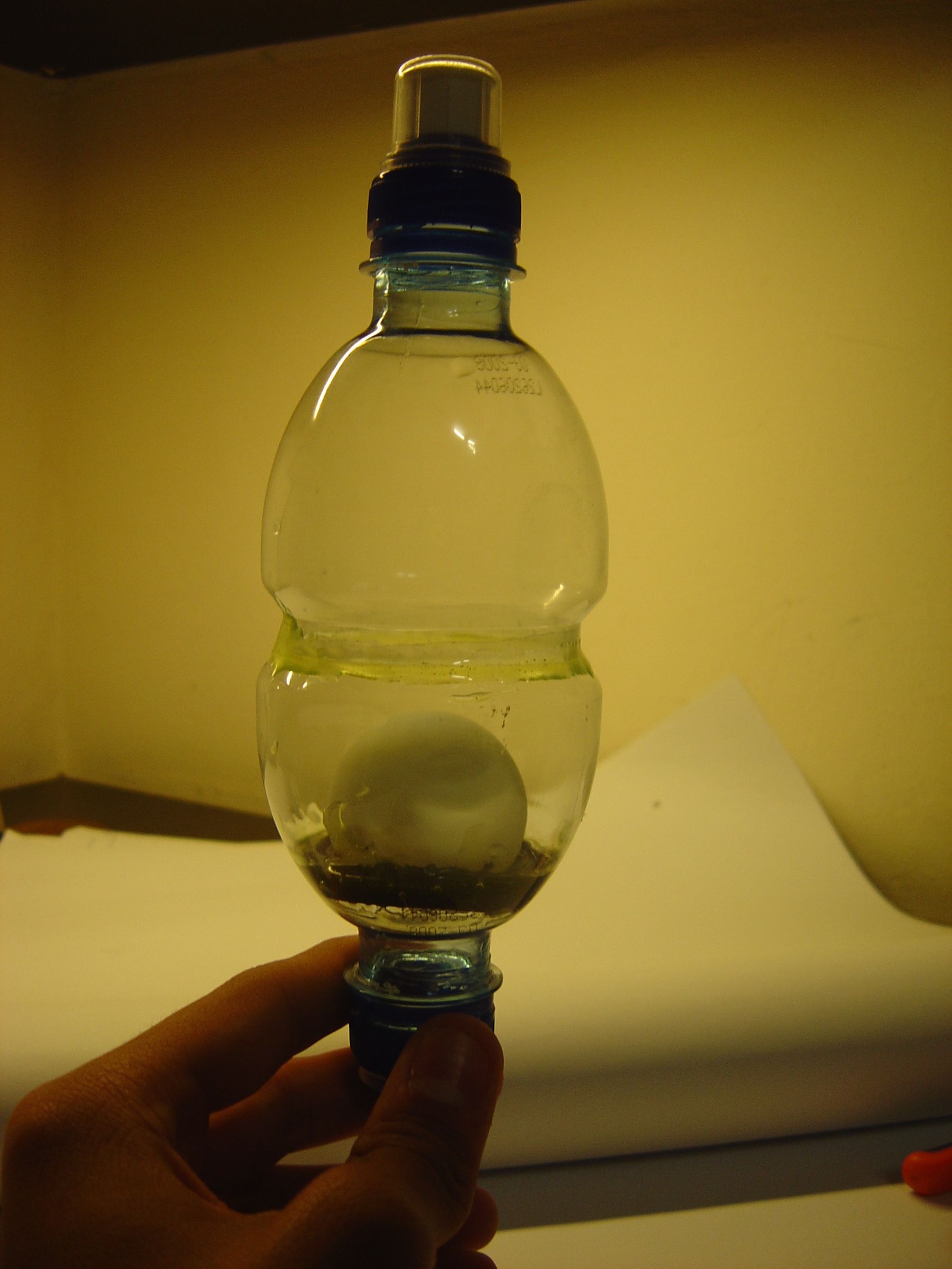 Check Valve From Bottles and a Table Tennis Ball