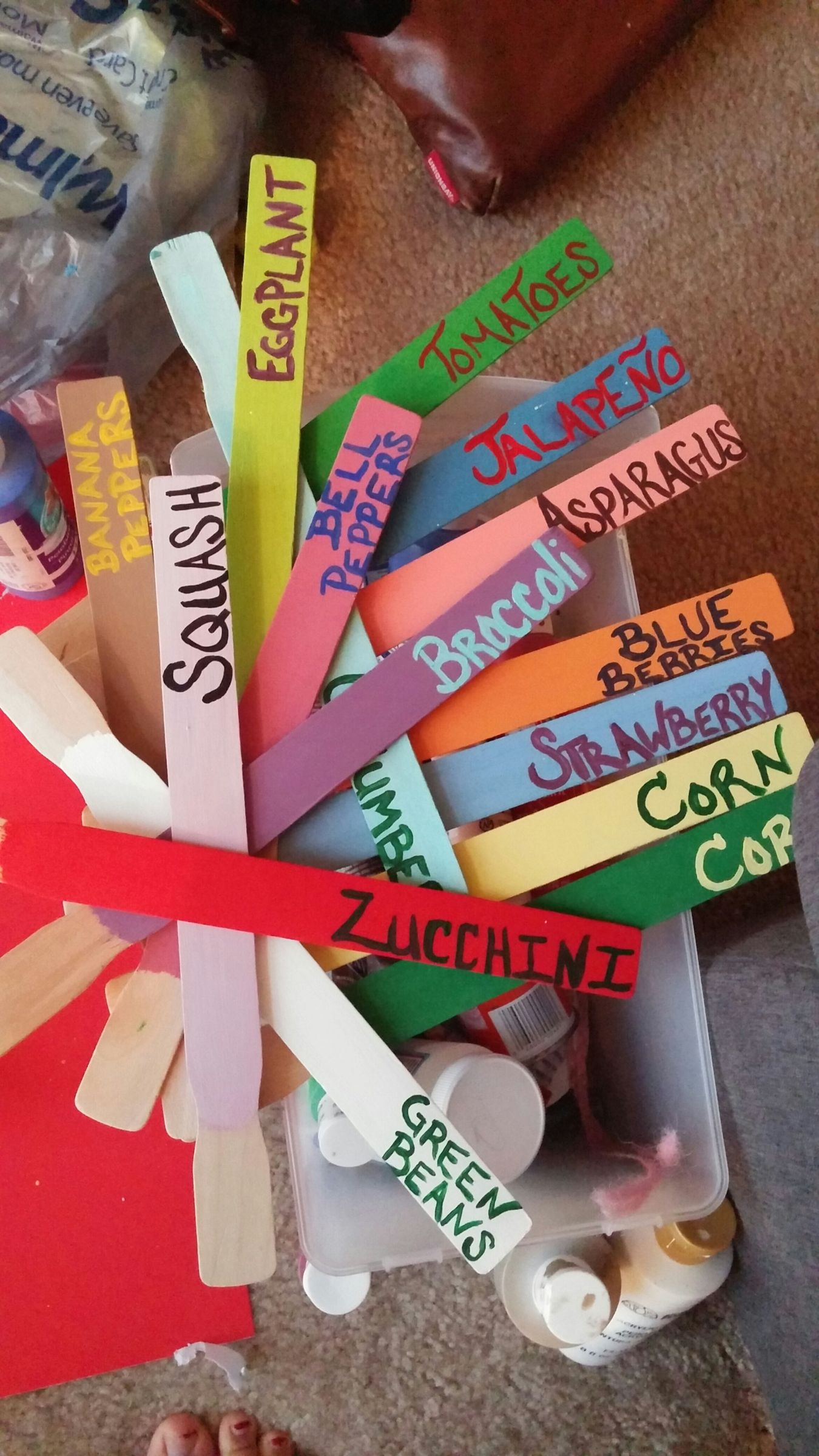 Gardening Labels From Paint Sticks