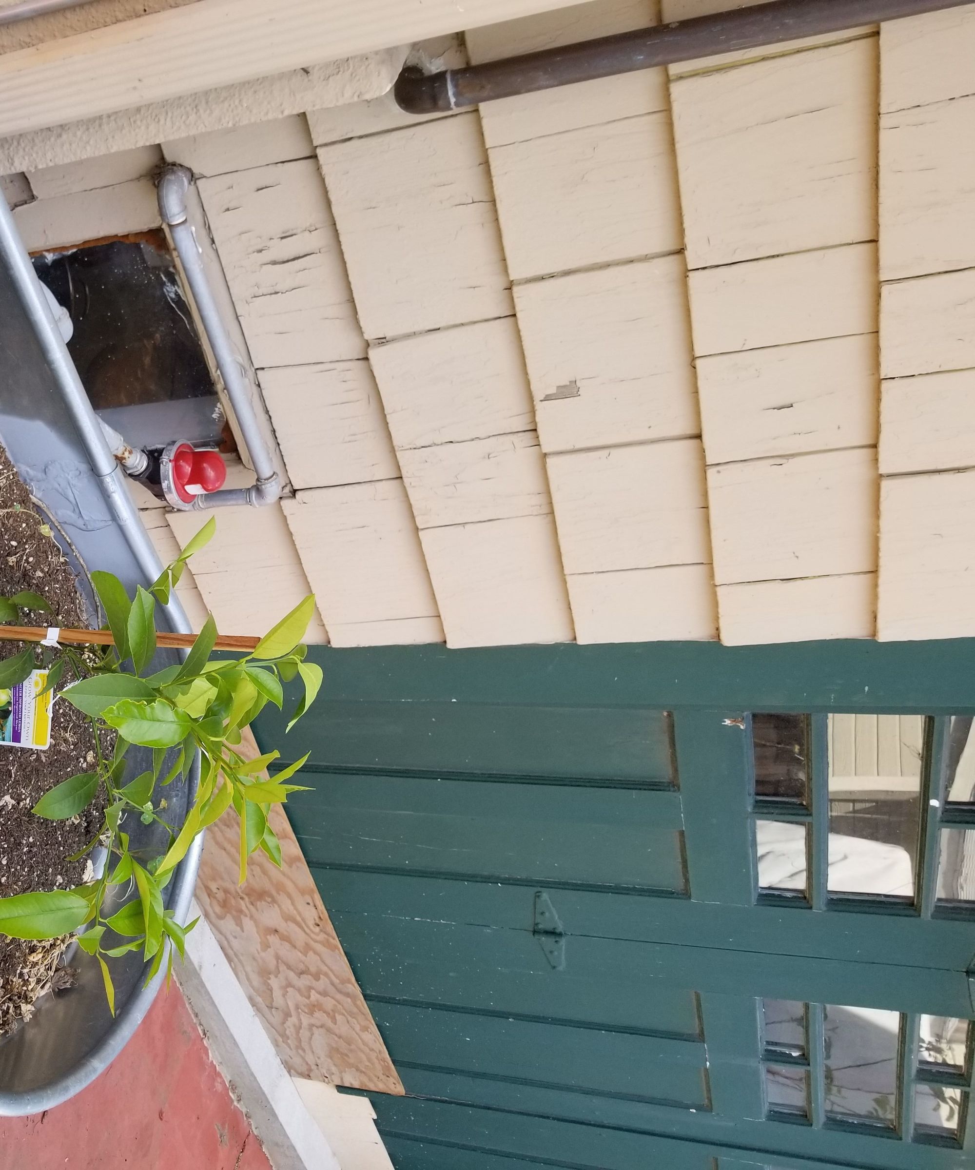 Self Watering Outdoor Plant Pot