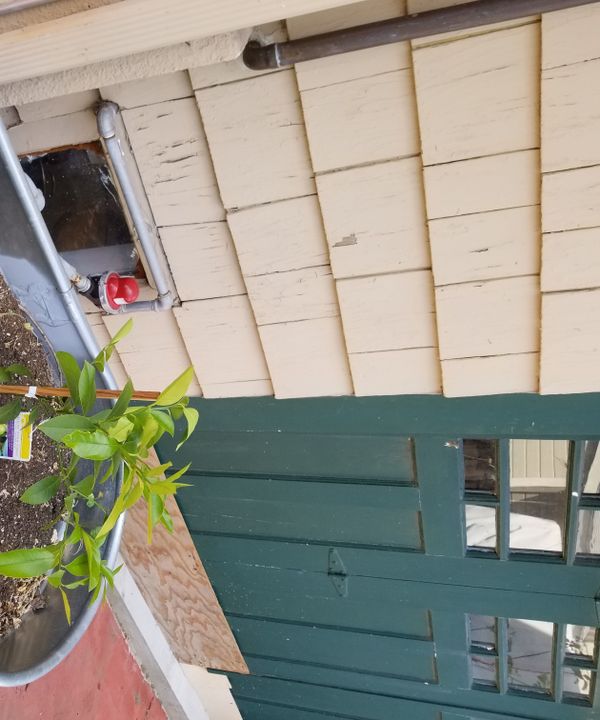 Self Watering Outdoor Plant Pot