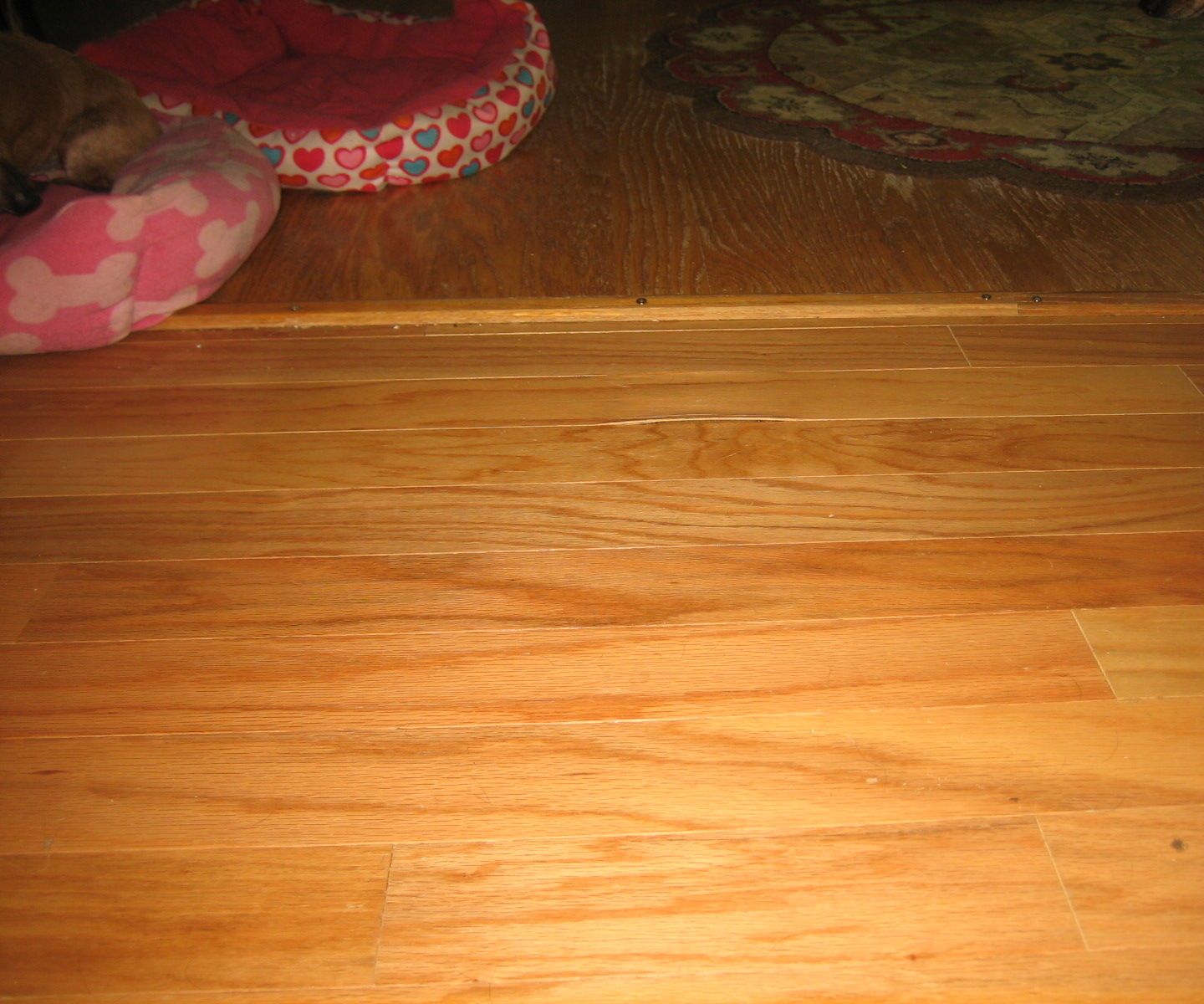 HOW I REPLACED a PEELING FLOOR BOARD