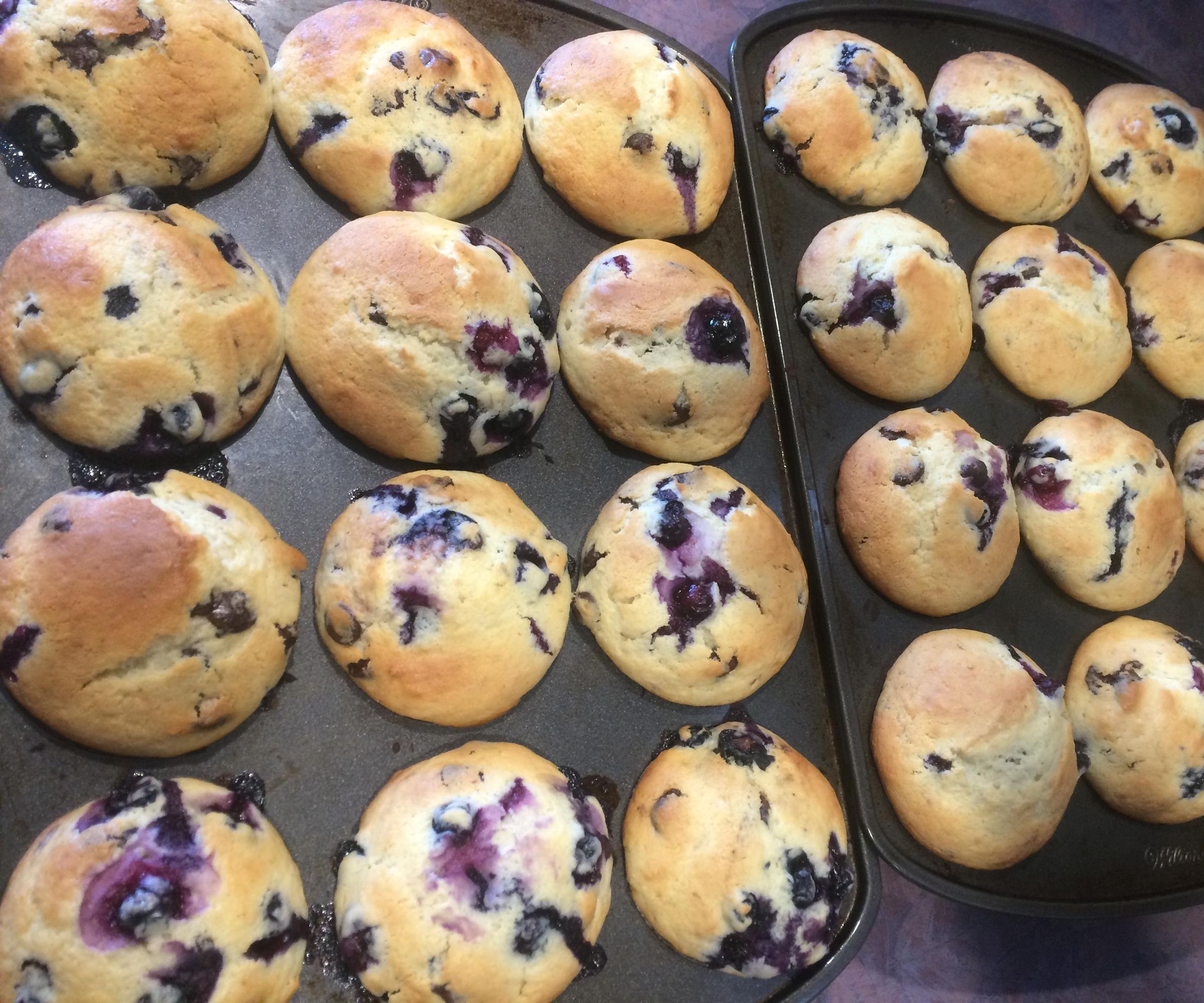 Quick and Easy Blueberry Chocolate Chip Muffins