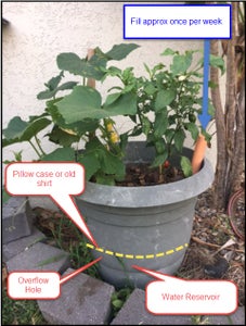 Level 2 Wicking - Wicking Pots