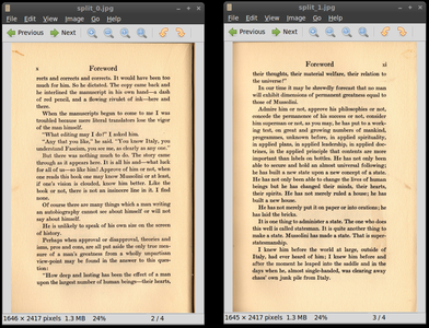 Split the Page Files