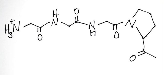 How to Draw Peptide Chains : 18 Steps (with Pictures) - Instructables
