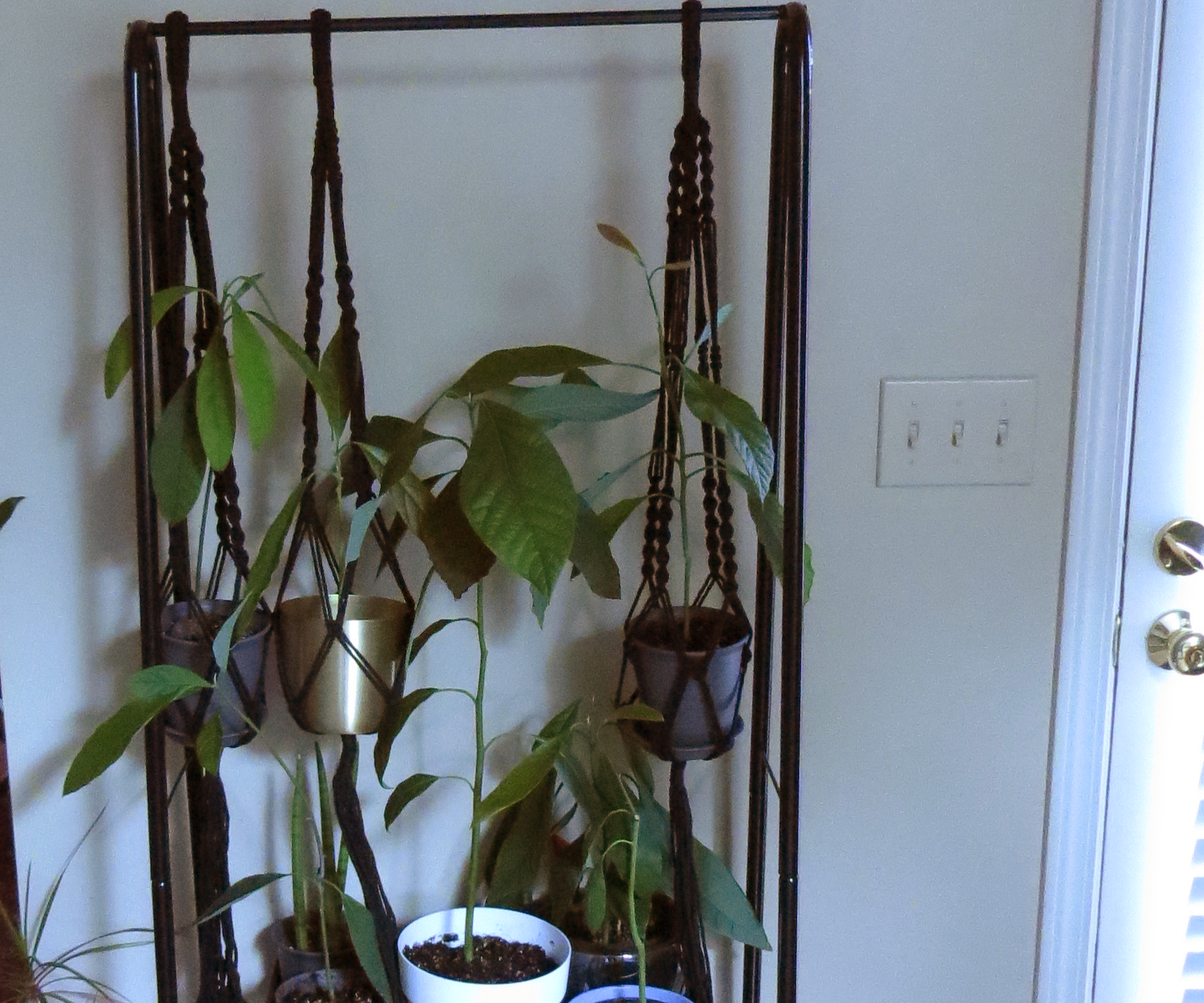 Tiered Plant Stand for a Narrow Space
