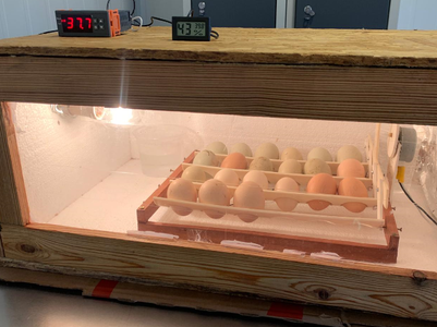 Manual De Uso Libre Para Construcción De Incubadora Para La Producción Avícola En La Escuela Agraria De Carlos Reyles.