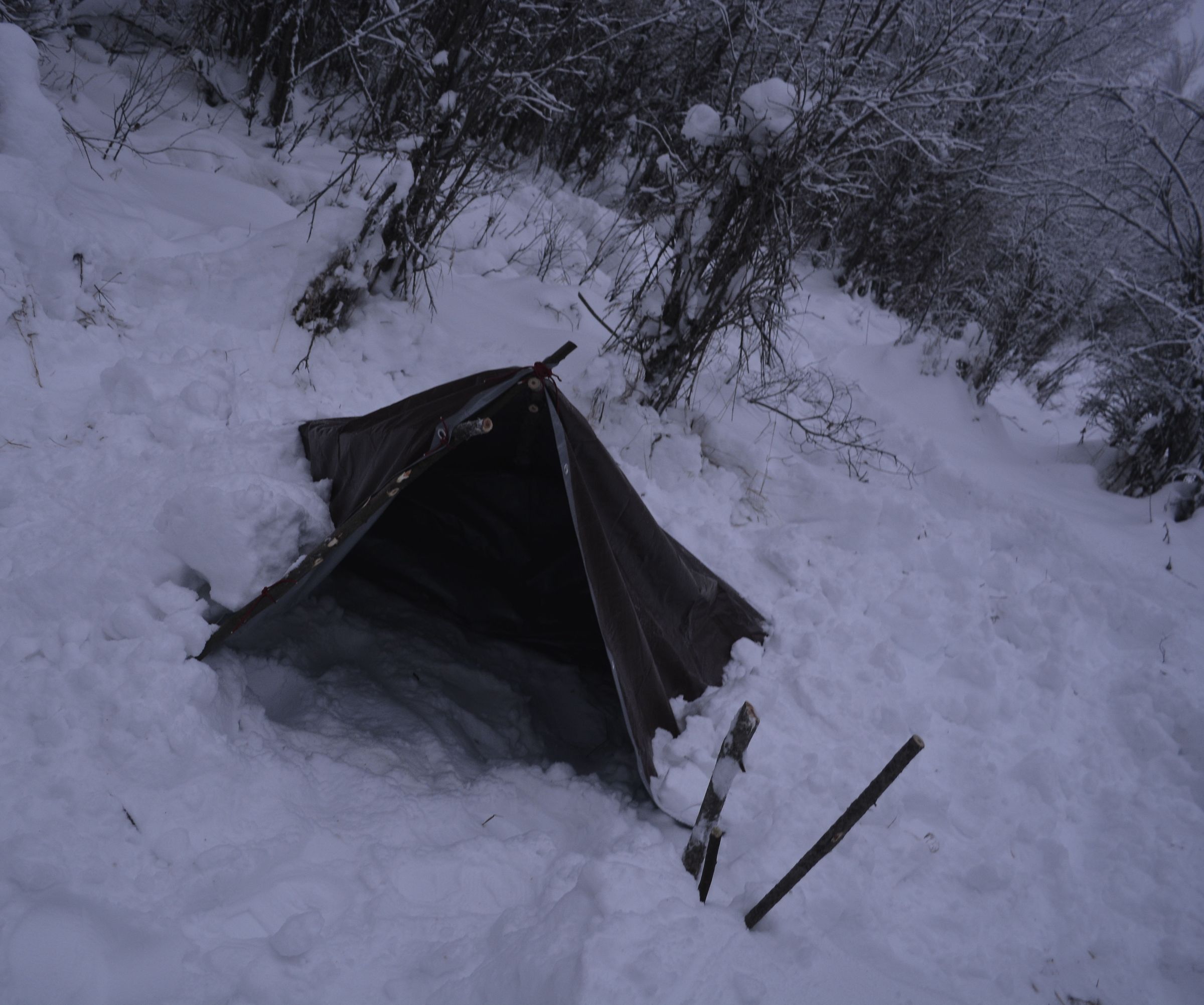 A Simple Survival Tarp Shelter