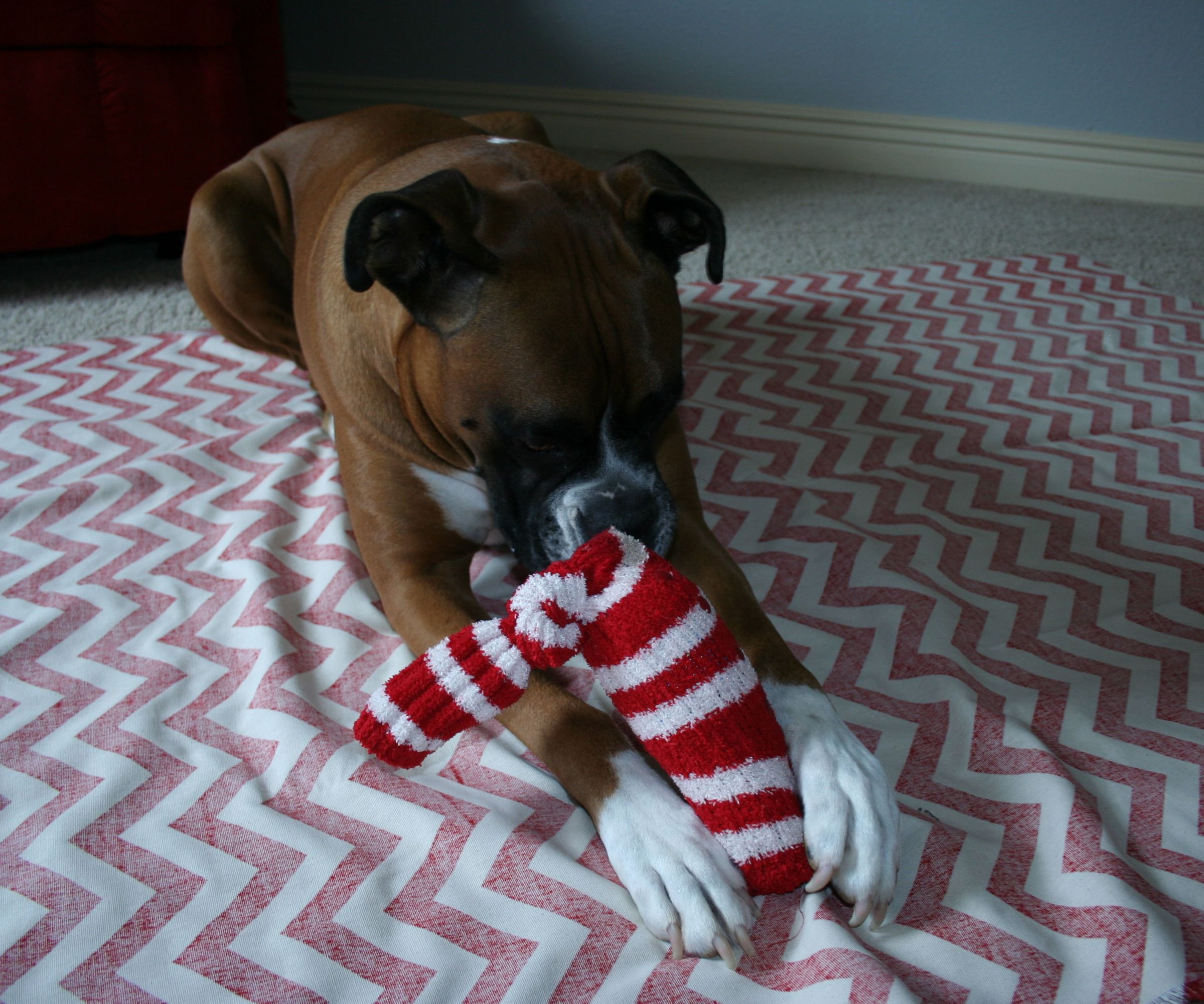 Cheap Dog Toy