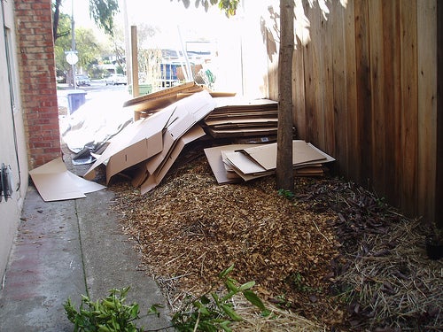 Where Do You Get the Cardboard?