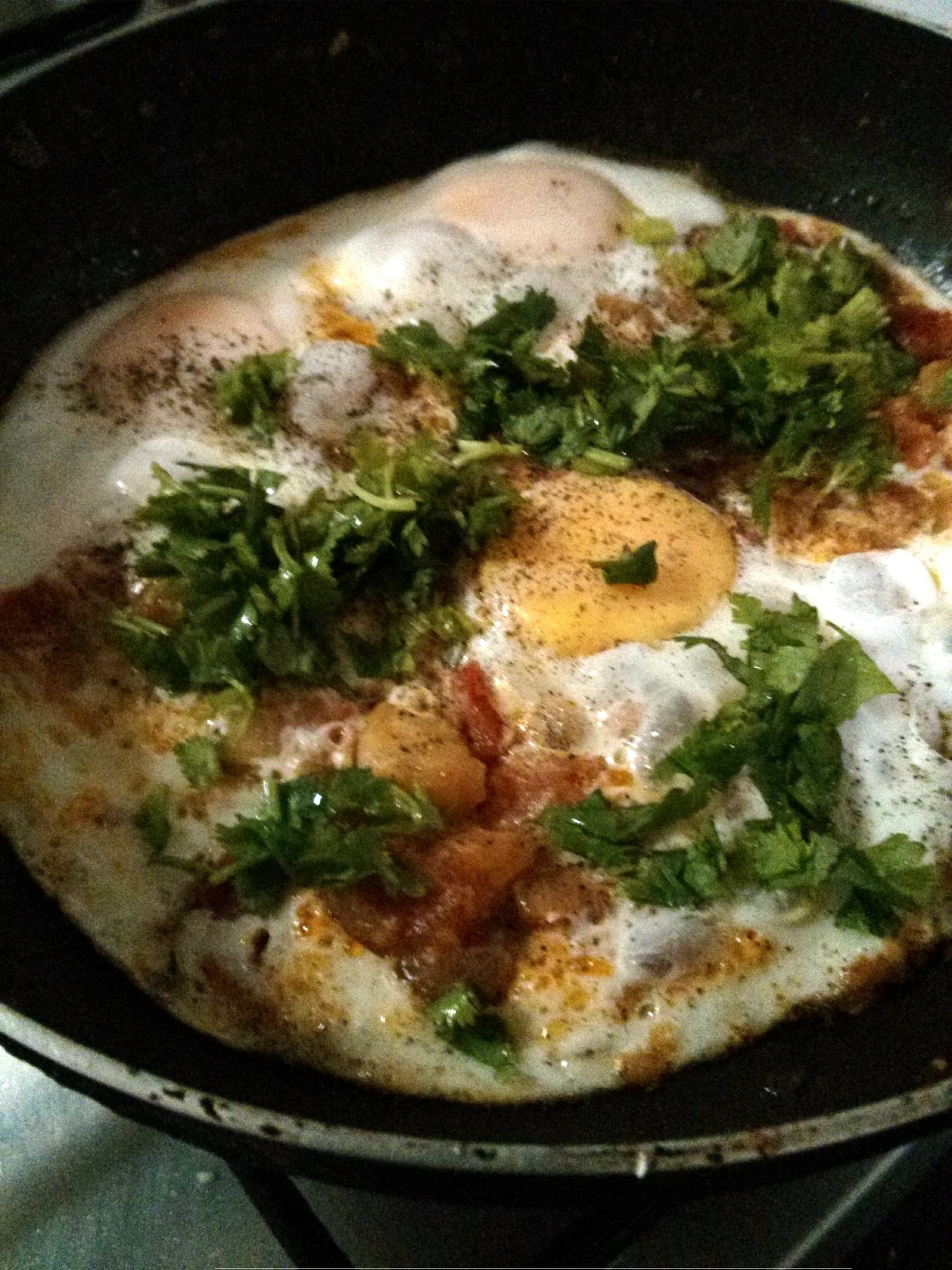 Dictatorship Shakshuka 