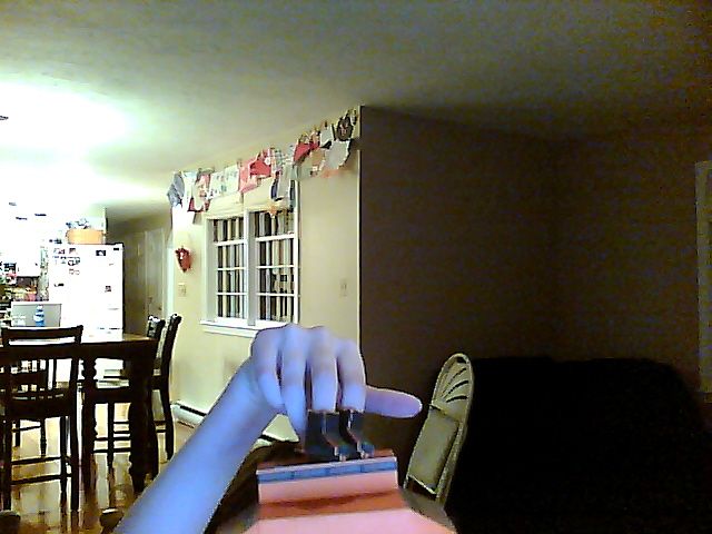 how to make cool rollerblades and a sick mini woodward ramp