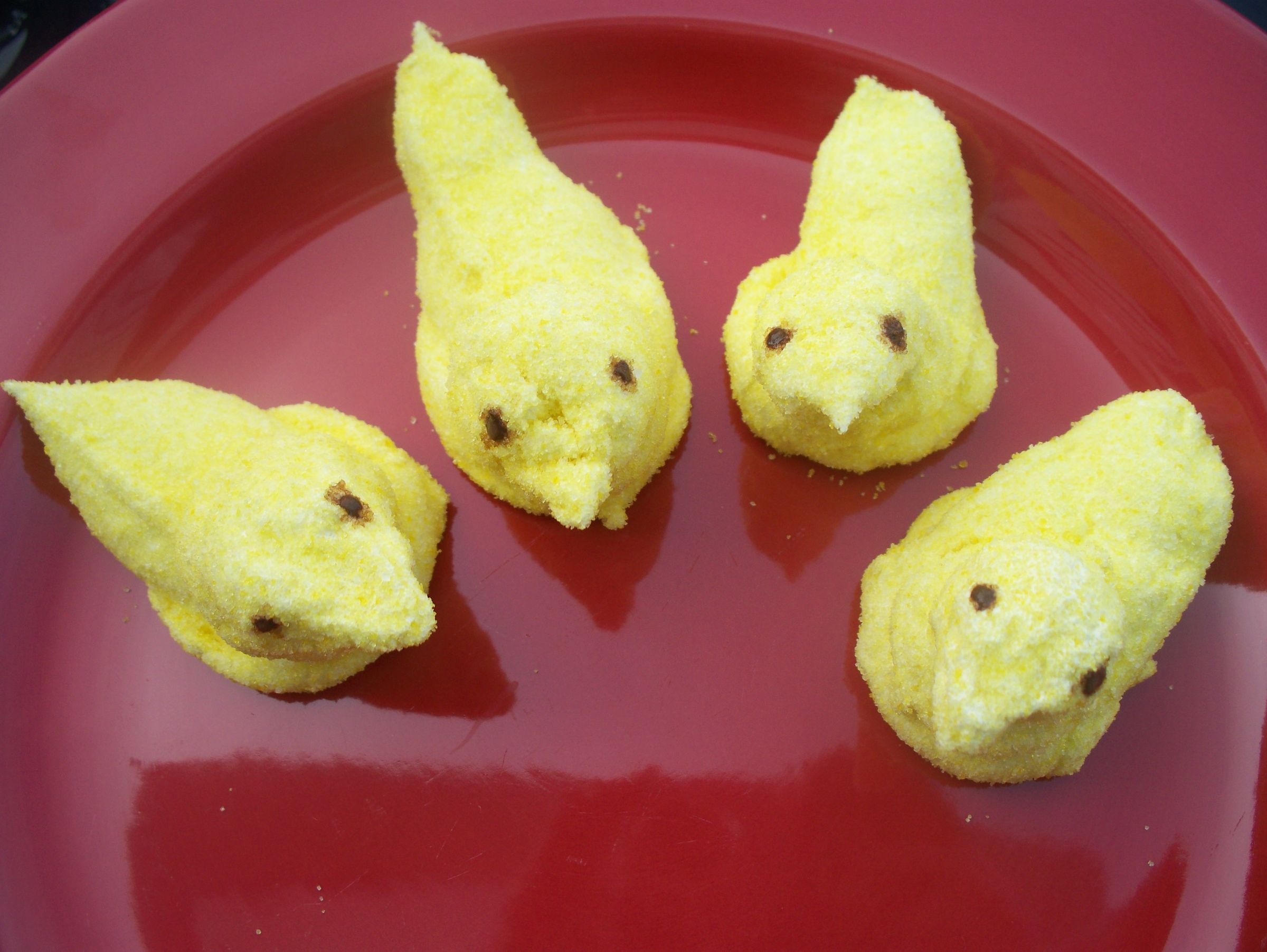 Marshmallow Peeps!