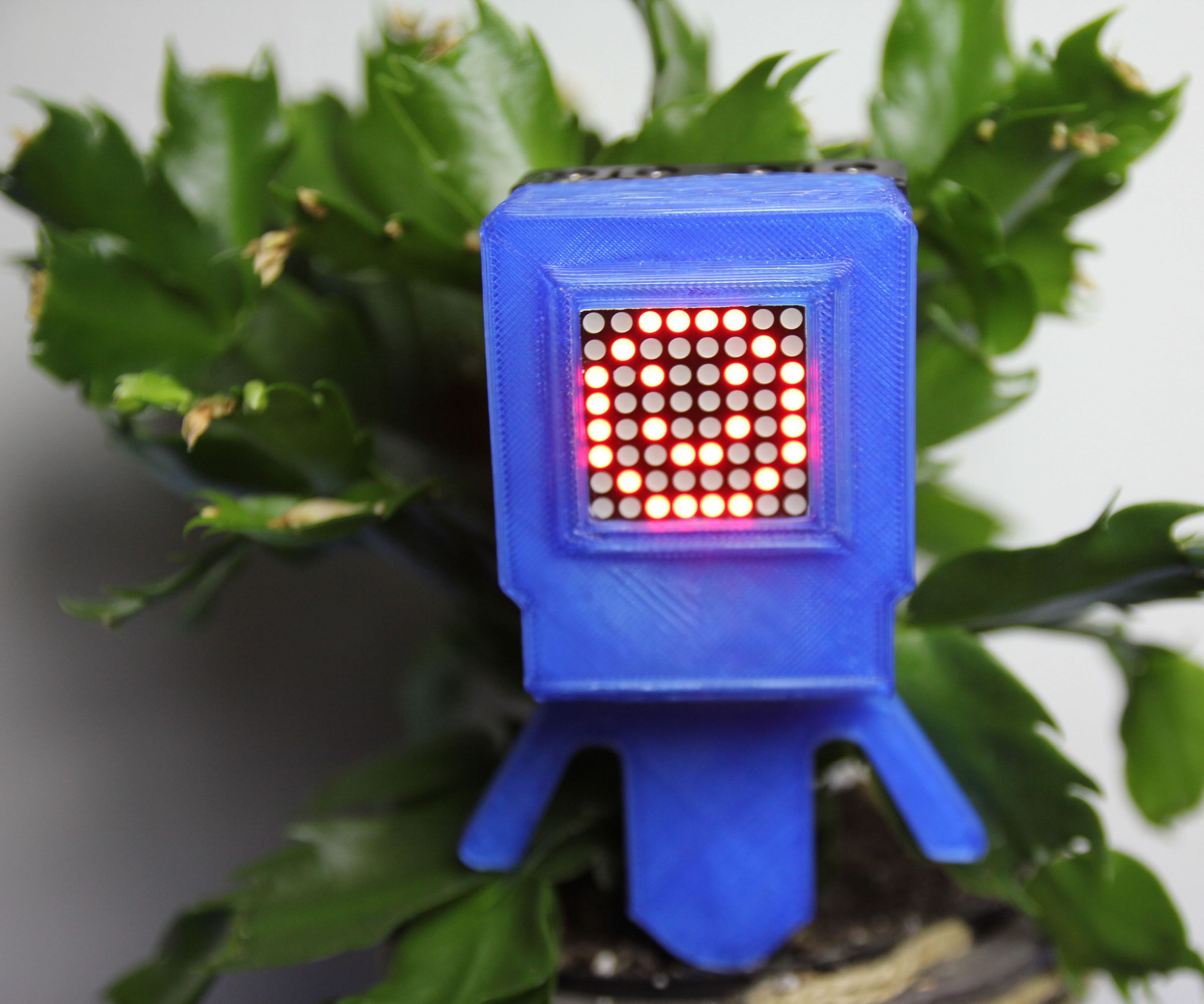 Plant Peter - Your Personal Gardener!