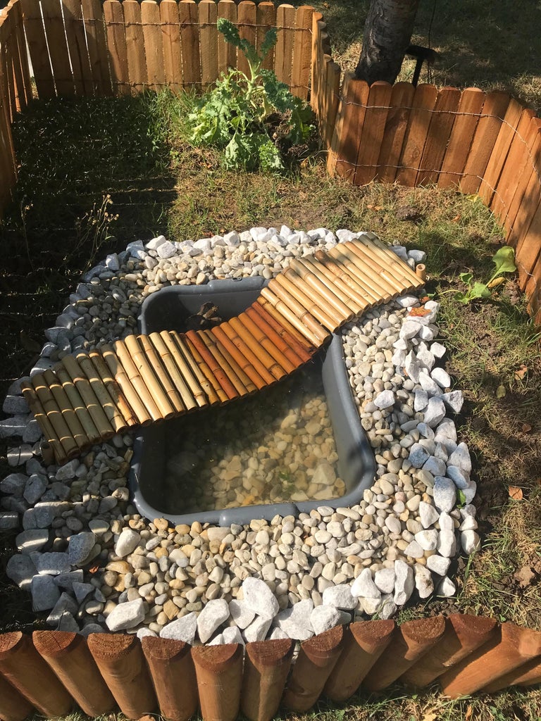 How to Build a Turtle Pond Outside: Ultimate Guide