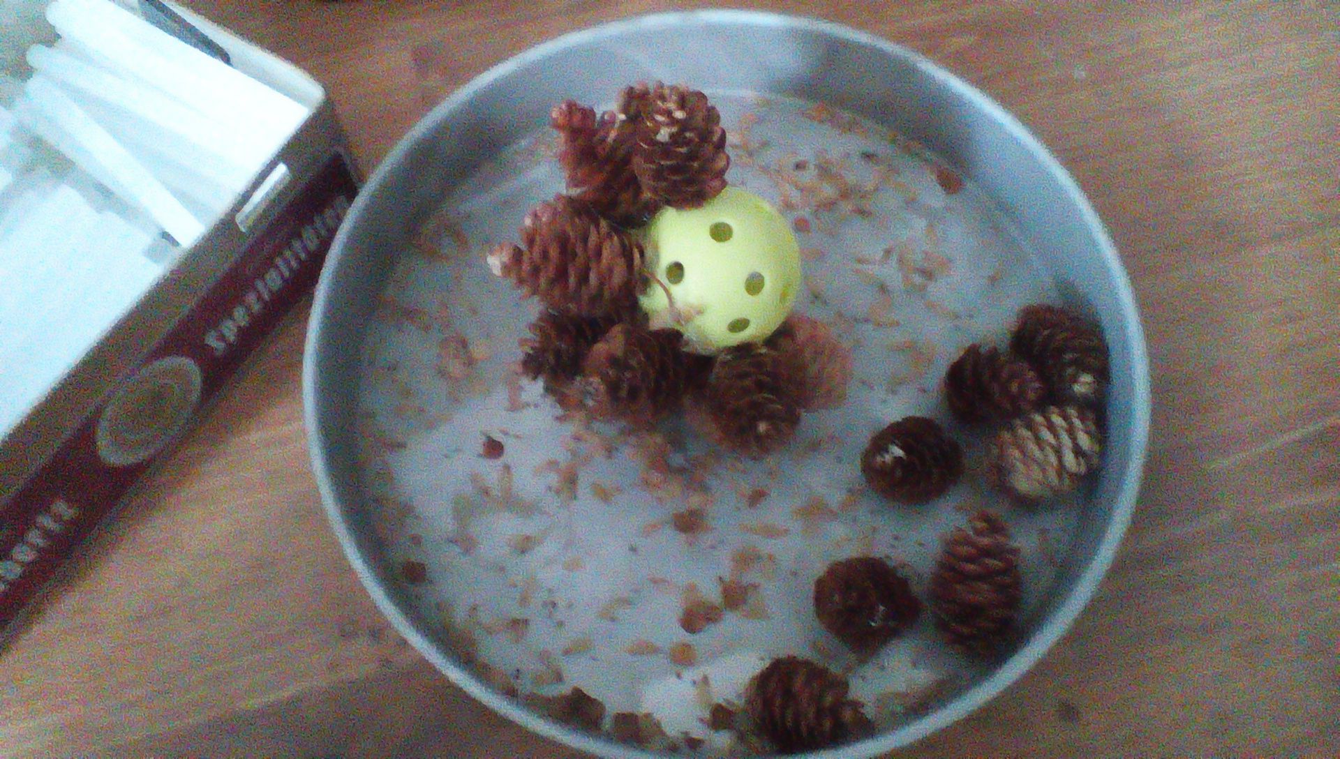 Pine Cone Ball Ornament 3 Steps (with Pictures) Instructables