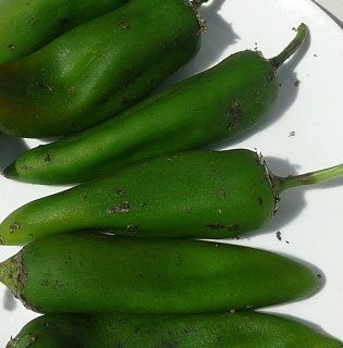 No-Sweat Roasted Chile Peppers