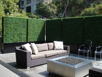 Hedge Privacy Screen Can Be Used for Security and Beautification
