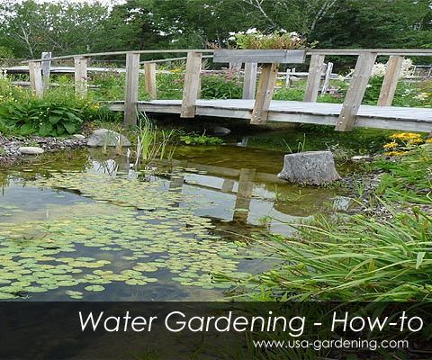 Garden Ponds Network in Your Backyard - DIY Idea