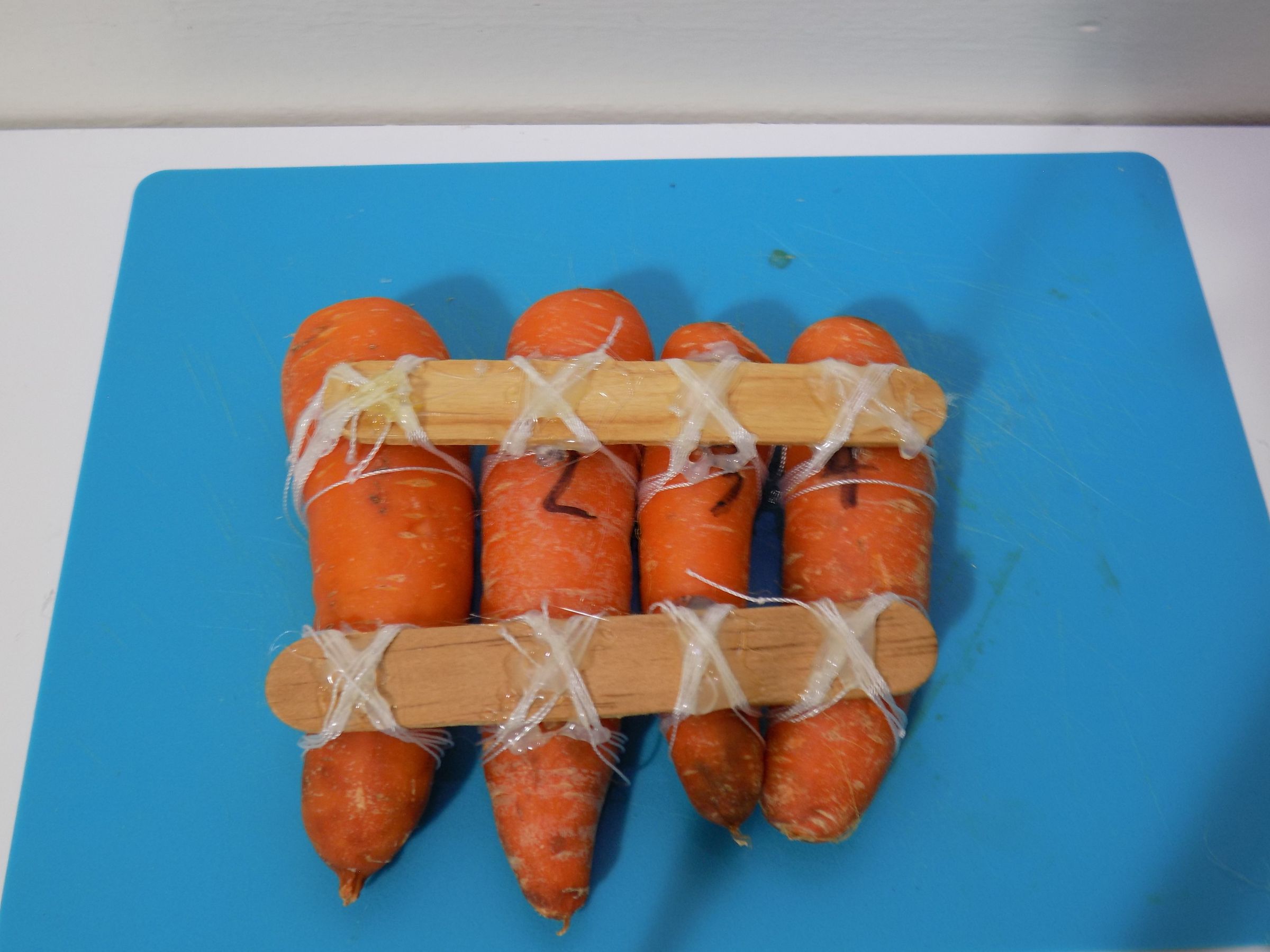 Carrot Pan Flute 4 Steps (with Pictures) Instructables