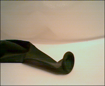 Simple Wine Making (Huckleberries)