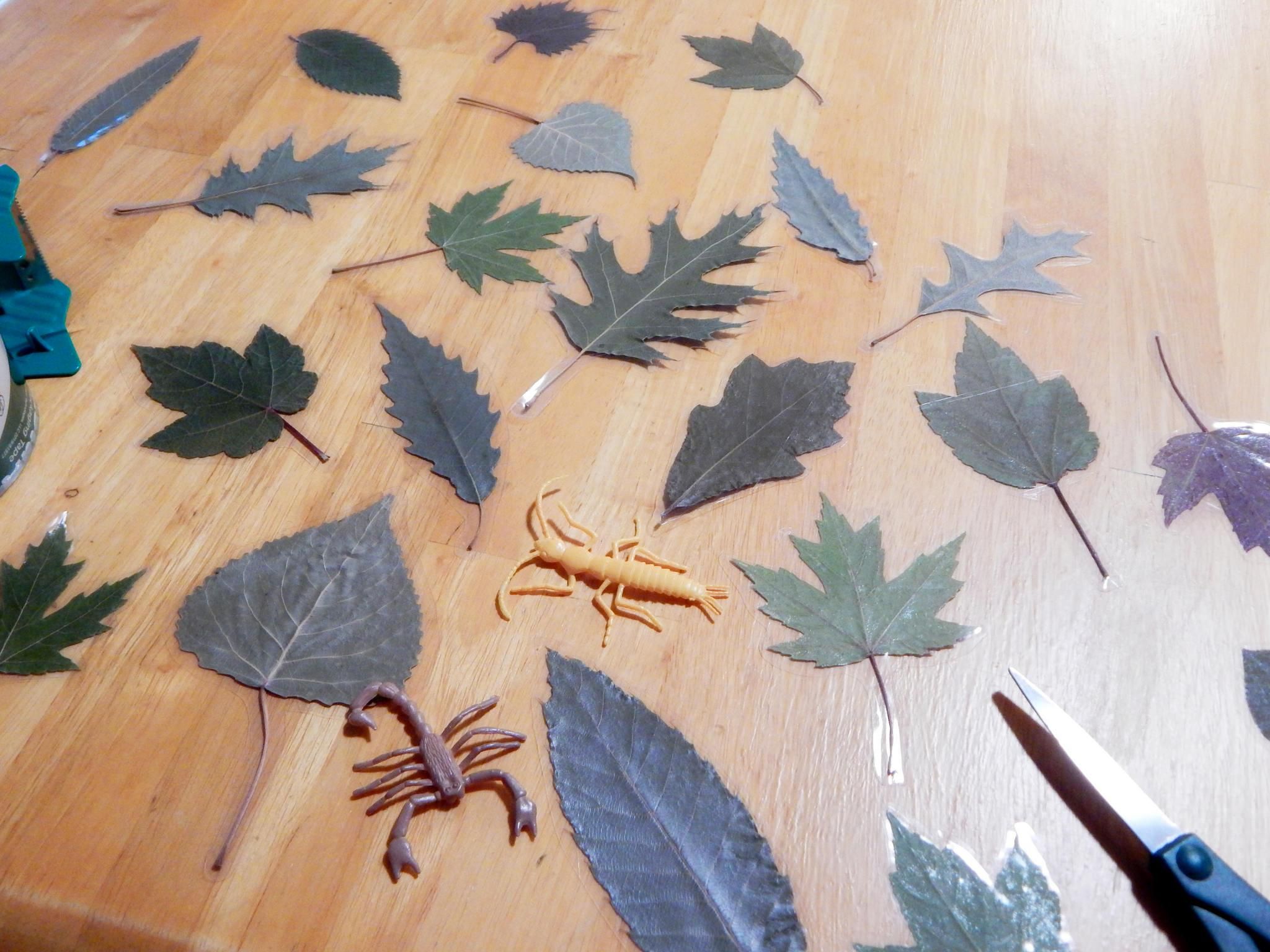 DIY Laminated Leaf Bookmarks 4 Steps (with Pictures) Instructables