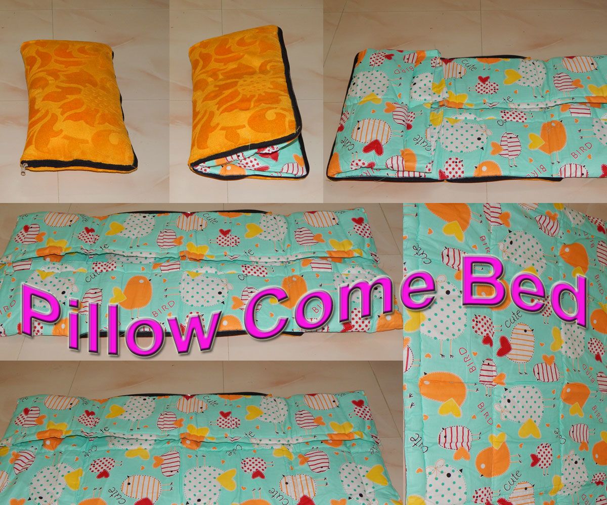 Pillow Come Bed