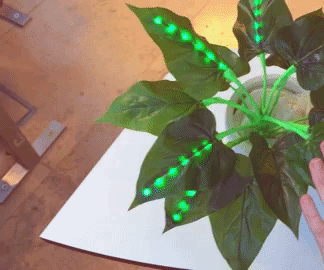 Alone Together - Plant Lamps