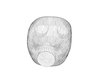 download {{ file.name }}