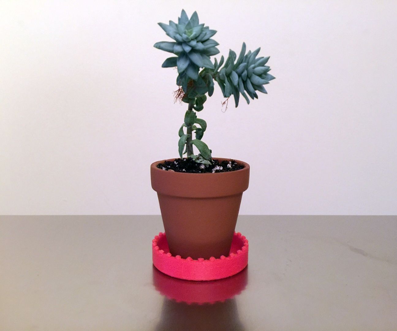 Mini 3D Printed Saucer for Under Your Mini Planter/Pot