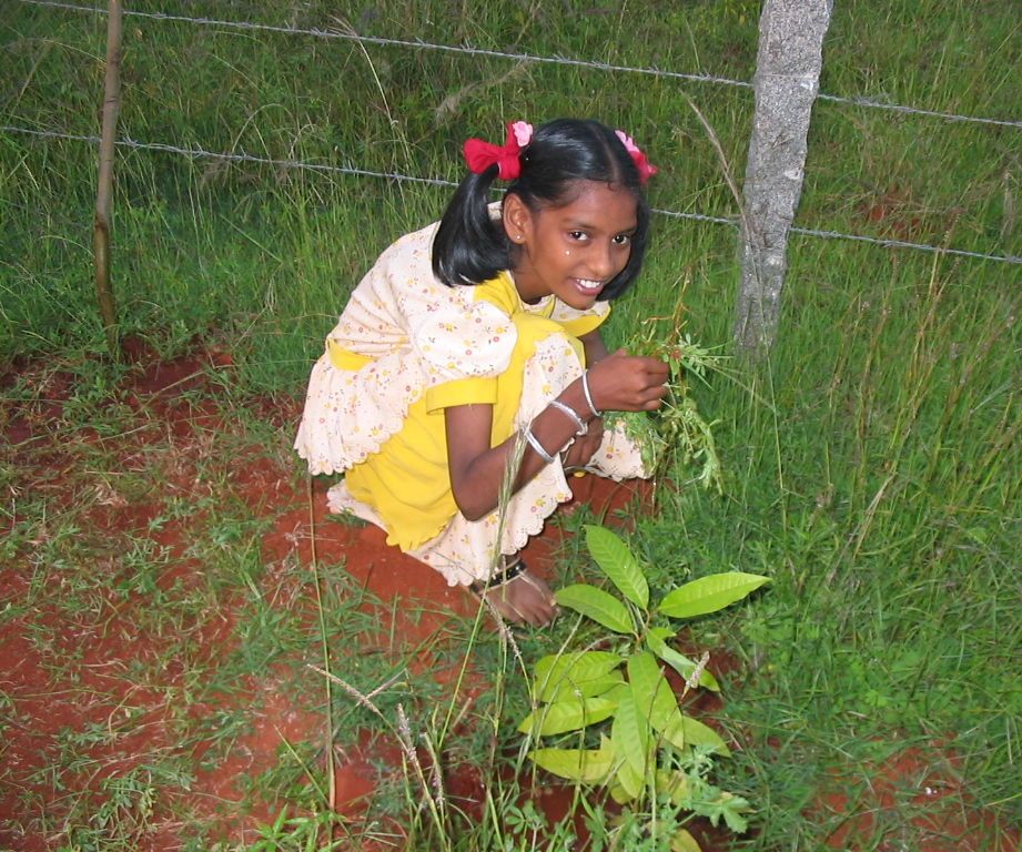 Summer Fun : How We Created Our Home Garden