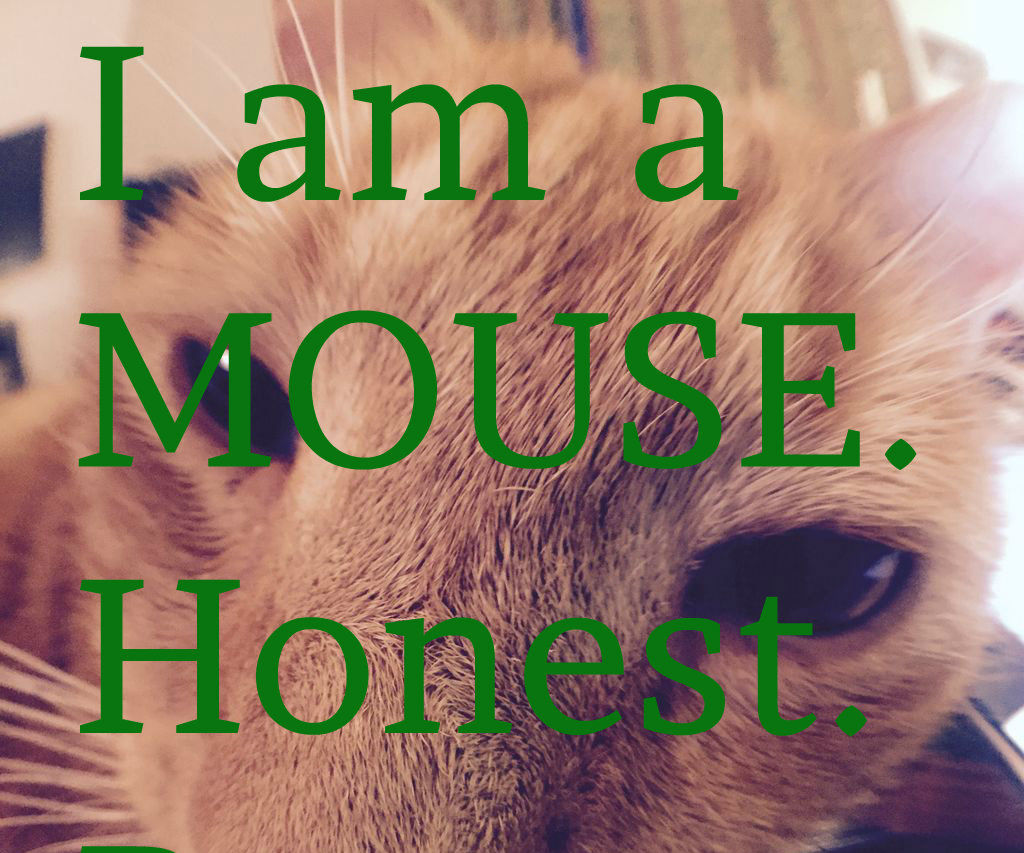 Turn Your Cat Into a Mouse