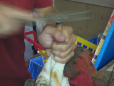 What We Actually Did