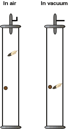 Building a better Guinea and Feather