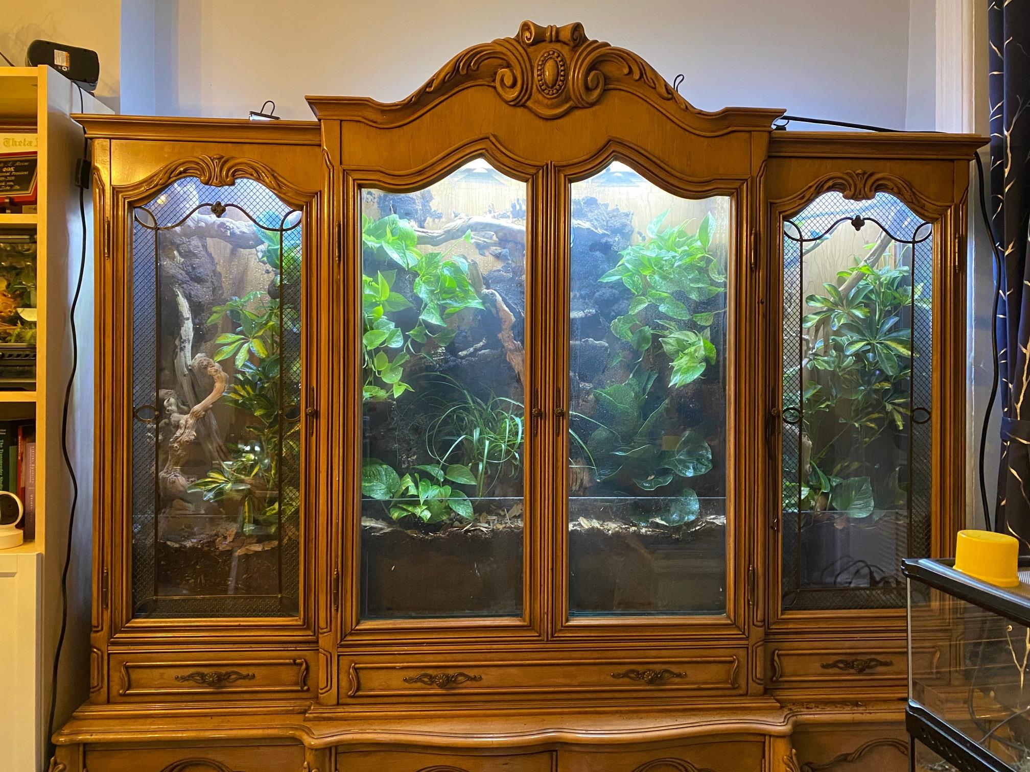 Building Narnia an Automated China Vivarium Conversion 8