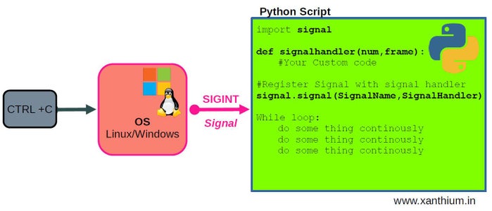 Learn How to Capture and Handle OS Signals Like SIGINT (CTRL-C) in ...