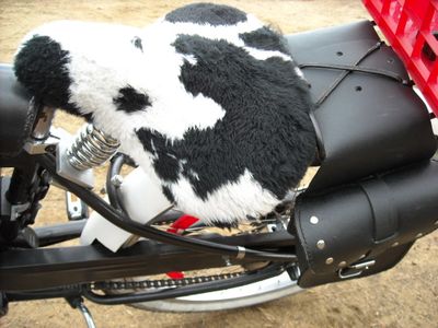 Motorized Bicycle 2