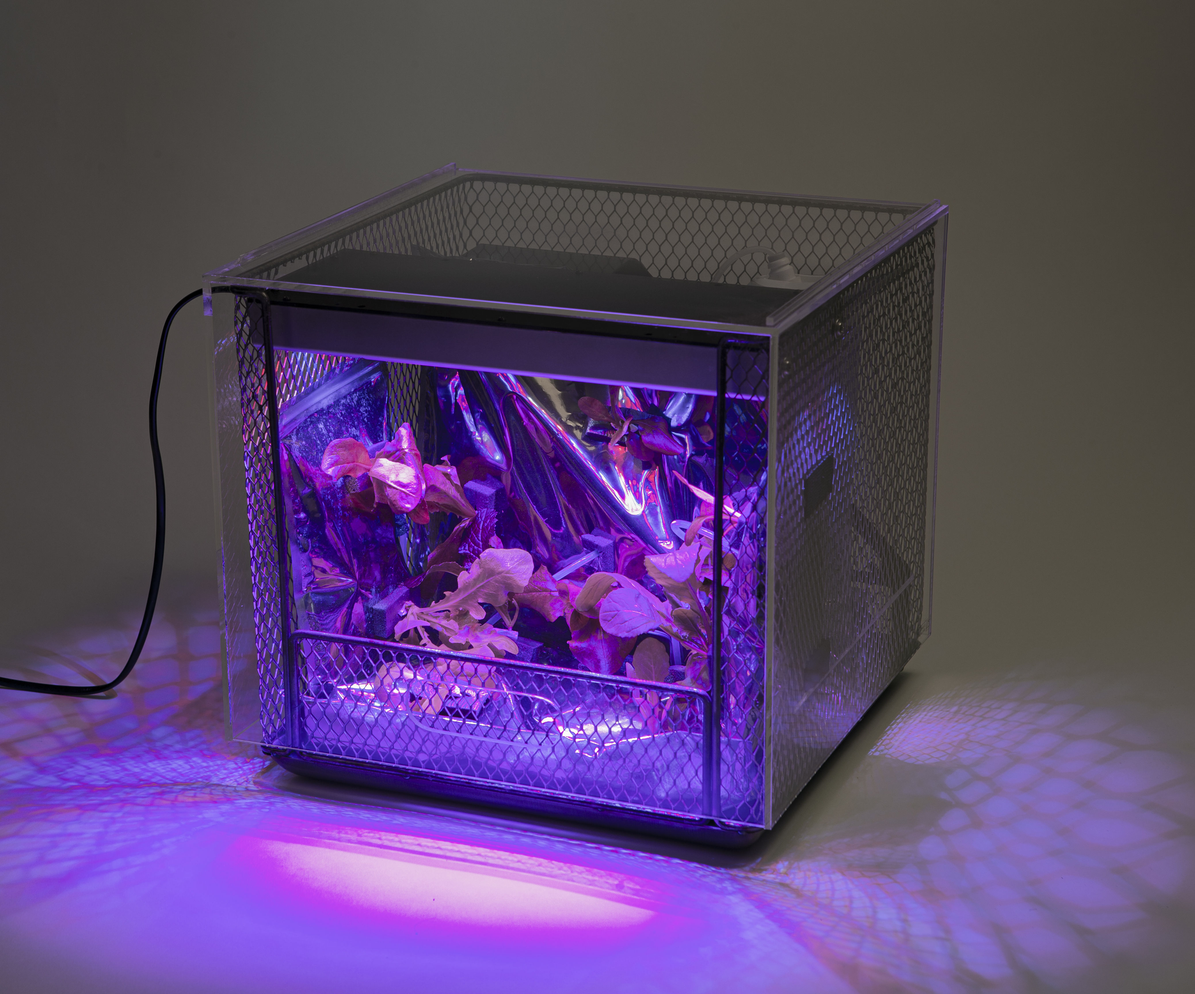 Automated Plant Growth Chamber