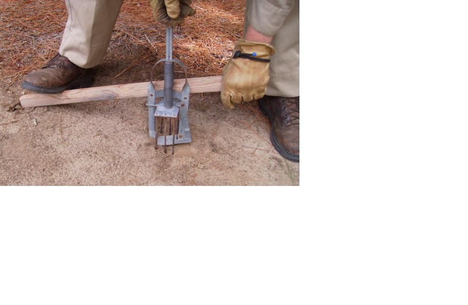 Mole Trap Setting Stick