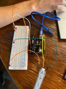 Fotografías Del Proceso: