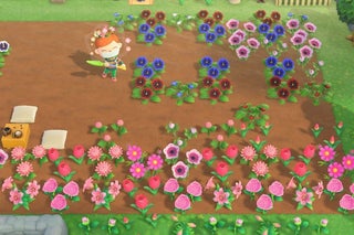 How To Breed All Hybrid Flowers In Animal Crossing New Horizons