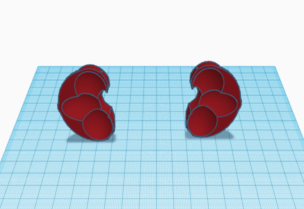 Sculpting the Kidneys