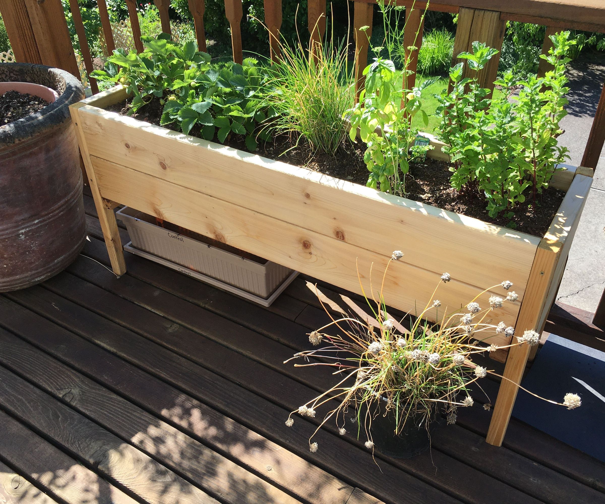 Raised Planter Bed