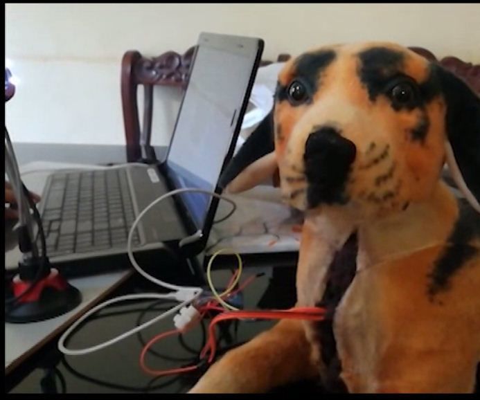 FACE DETECTING ROBOT