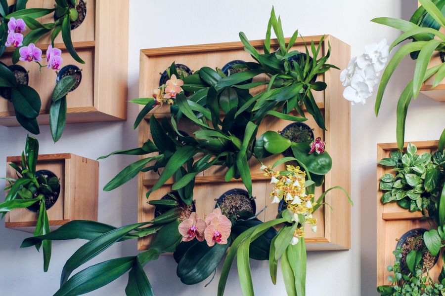 indoor plants rack GREENSTELL Plant Stand with Grow Lights, Half Moon 7 Tiered Metal Plan   Greenstell