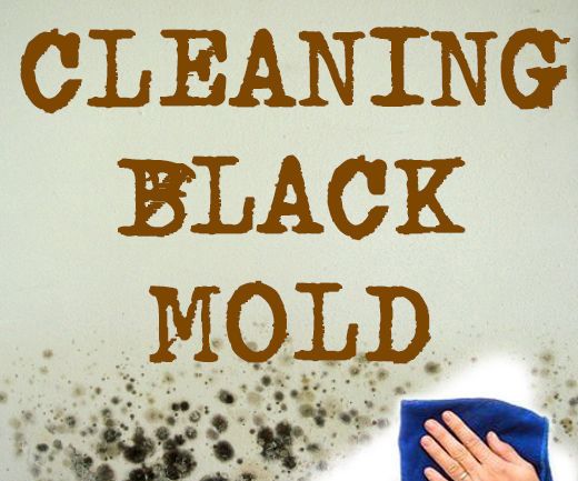 Cleaning Bathroom Mold(black Mold)