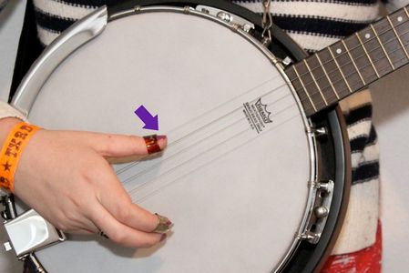 Beginning 5-String Banjo for Guitarists : 5 Steps (with Pictures ...