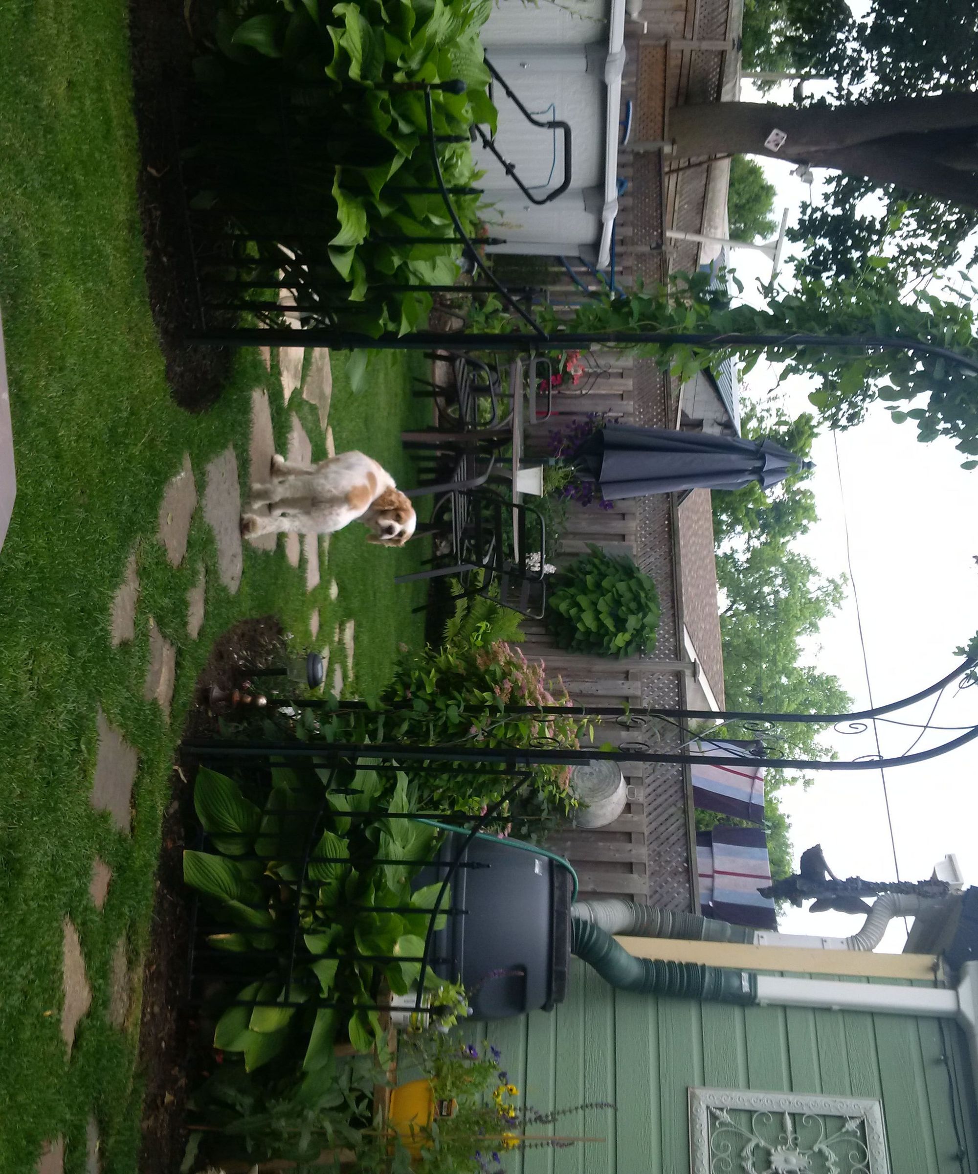 Easy Stepping Stones - No More Mud Trails